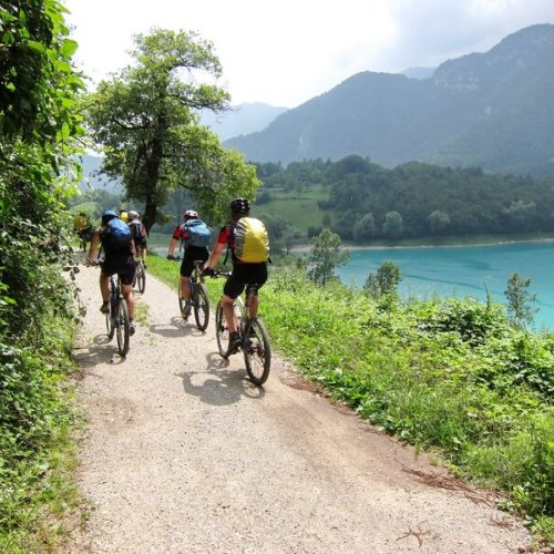 Bikeshuttle Albrechtroute