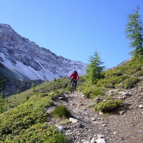 Bikeshuttle Albrechtroute